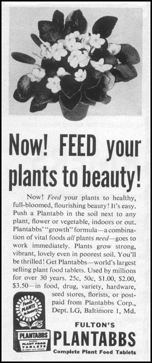 FULTON'S PLANTABBS
LIFE
07/12/1954
p. 93